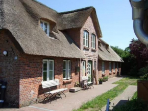 Reetdachhaus auf Eiderstedt